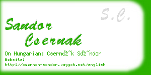 sandor csernak business card